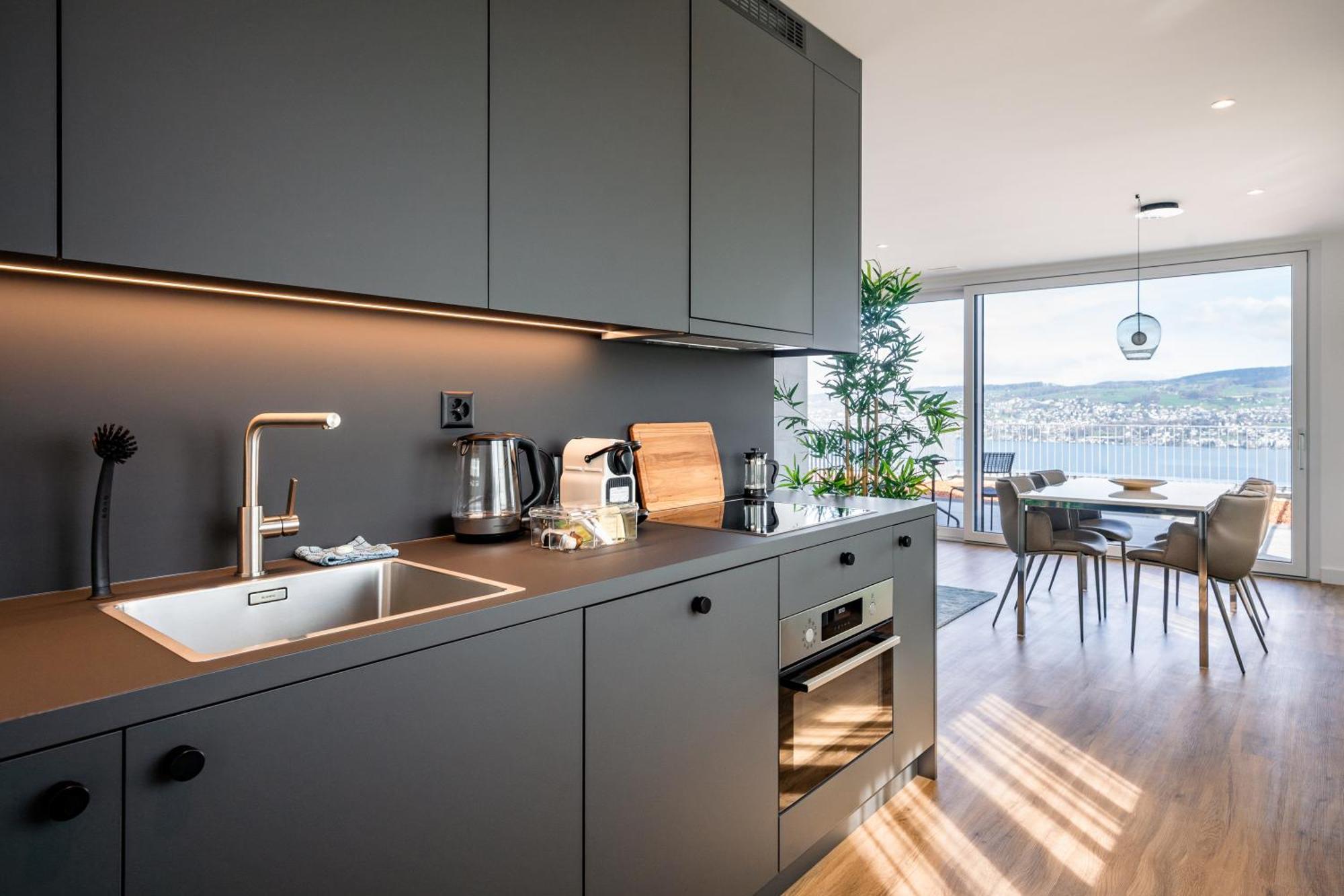 Aestate Living Lakeview In Horgen Zuerich Zug Pfaeffikon Dış mekan fotoğraf